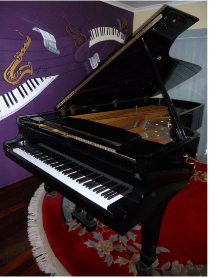 Kawai GS100